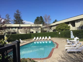 LARGE ROOM IN AMAZING APARTMENT - CLOSE TO STANFORD 1