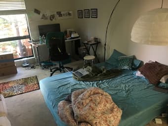 A room in a HUGE 2 bd/ 2 bath condo in the PaloAlto RedWoods - $1,750 1