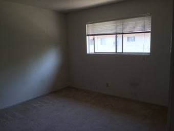 Looking for roommate: Downtown Palo Alto 2BR/1BA 1