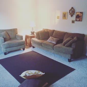 OLIVE GREEN PLUSH SOFA SET 1
