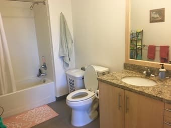 1 Bedroom Summer Sublet in Kennedy (EV) (Female 2Bed 2Bath Apt) 3