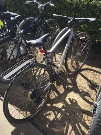 Raleigh Bike for Sale - $225 OBO 1