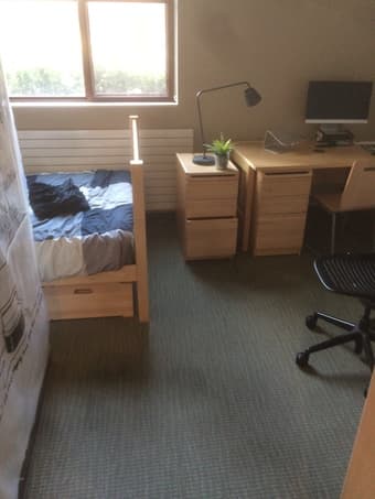 Junior Studio April 15 to May 1st inside of Campus for $568 2