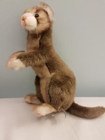14in Ferrett Plush 1