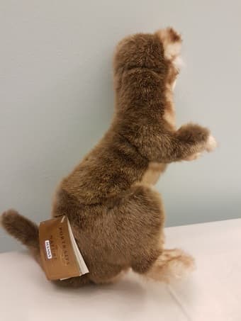 14in Ferrett Plush 2