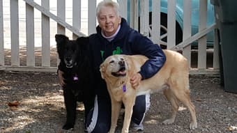 Professional Woman / two dogs Looking Next Great Housing Oppportunity 1