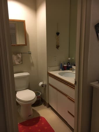 Master bedroom in PA/MV, available May 1, females only 2