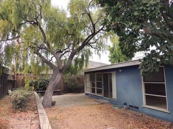 Gorgeous Sunnyvale house with young professional housemates--furnished 1