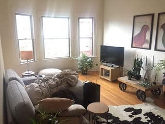 Sunny + Spacious 2BR Apt in San Francisco's Cole Valley Neighborhood 2