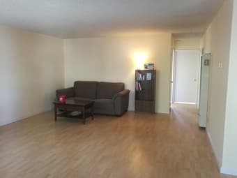 1BR in 2BR/1BA apt in Mountain View 1