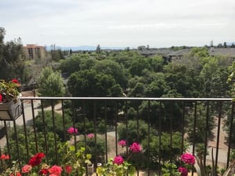 1 bed/1 bath on Campus- May 8 to May 27 1