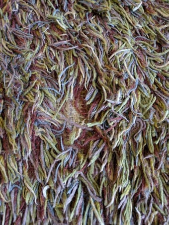 Forest Hues Shag Rug 2