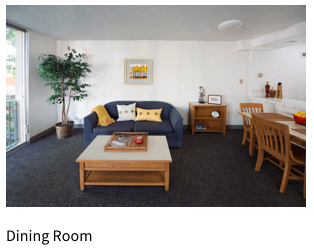 furnished one bedroom apartment on campus - May 7th-May 27th 3