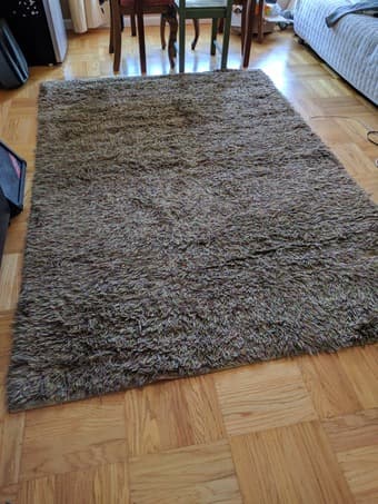 Forest Hues Shag Rug 1