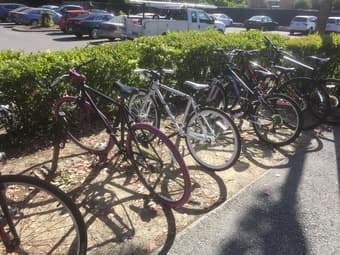 PureFix Single Speed Bicycle (Petite and Almost Brand New) 1