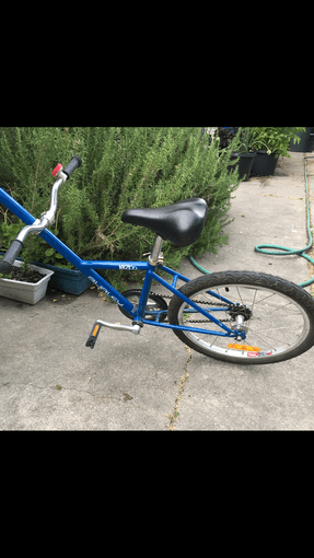 Burley kazoo trailercycle for sale 2