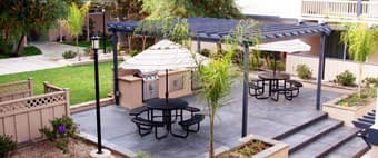 Share 2b2b Palmetto Apartments in Mountain View - Dog Friendly! 3