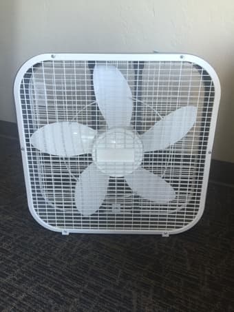 FAN 1