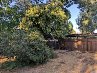 Palo Alto House For Rent 2