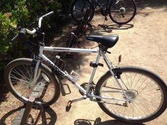 Adult bike (U-lock and light set included) 1