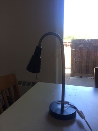 Study Lamp 1