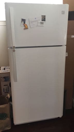 Refrigerator: 9 months old 1