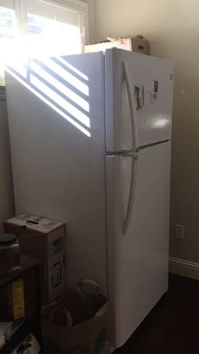 Refrigerator: 9 months old 3