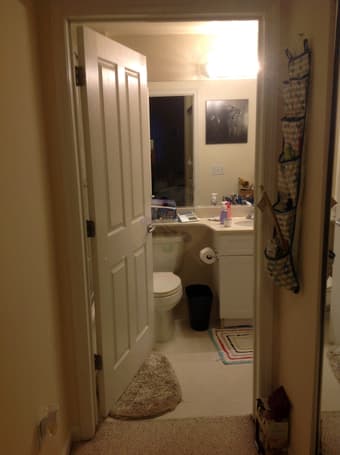 Sublet available 1b/1b from 7/23-8/31 2