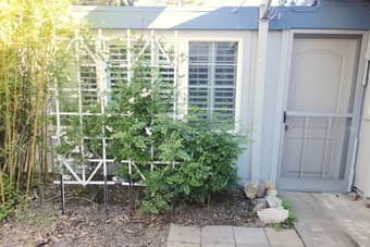 1BR in Cupertino with Private Entrance and Bath for rent near Apple 1