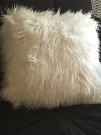 What Faux Fur Pillow 1