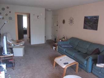 Professional Female Seeks MountainView Roommate - 142ft2 2