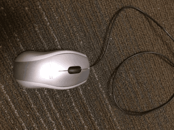 mouse 1