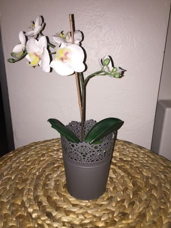 publication decorative vases with flower arrangements 3