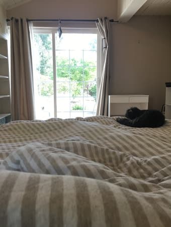 Sunny room minutes from Stanford campus- Pet friendly! Available now 2