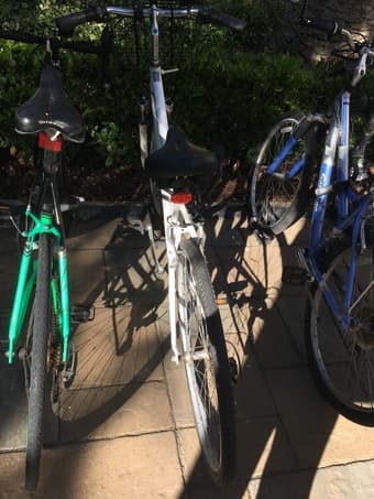 Women's Schwinn Bike + Accessories for sale 3