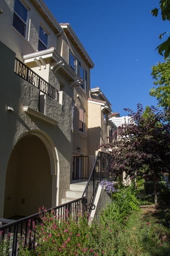 MasterBR in 3BR/3.5BA Townhouse in Mt.View starting 1st of July. 1