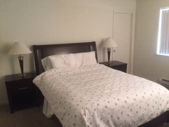 Furnished Master Suite in 2 BR in Mountain View 1