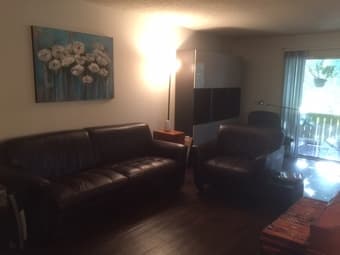 Furnished Master Suite in 2 BR in Mountain View 3