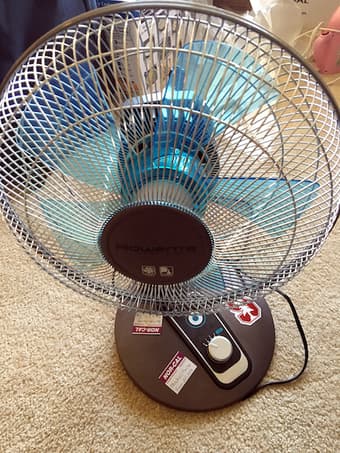 Fan for your Cool Summer 1