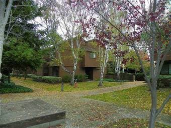 4BR / 3Ba in Mountain View available aug 1 1