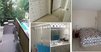 Studio apartment for rent in Oak Creek Apartments from early August 2