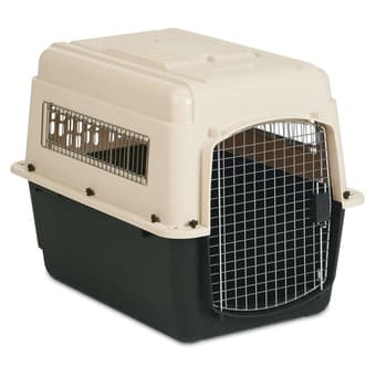 Dog Crate $40 obo 1