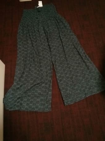 Women's clothing -- Palazzo pants (SIze Medium) 2