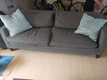 Beautiful HD Buttercup Down-fill Couch/Sofa 1