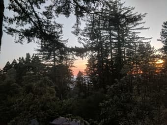 $3950 / 3br - 1500ft2 - Woodside retreat with ocean views (pets ok) 1