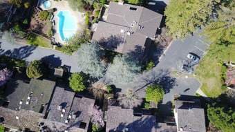Sand Hill Road (Menlo Park) Spacious & Secluded 3b/2.5b House for rent 3