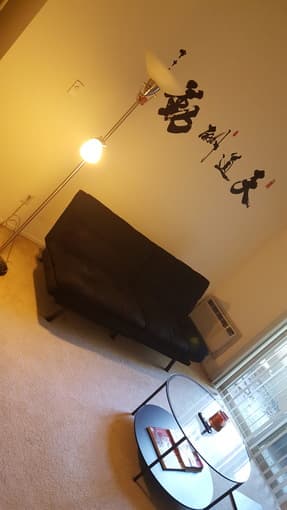 ALMOST NEW FUTON 1