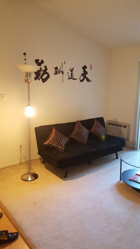 ALMOST NEW FUTON 2