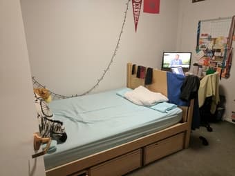 1 room in a 2BR Rains Apartment 1