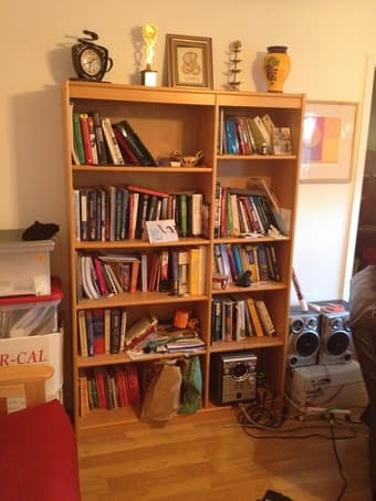 The only book shelf 1
